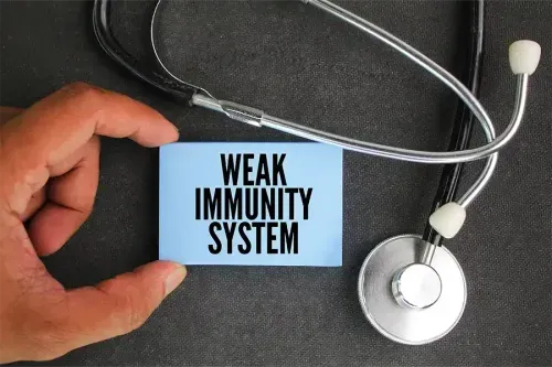What Are the 2 Main Immunodeficiency Conditions?